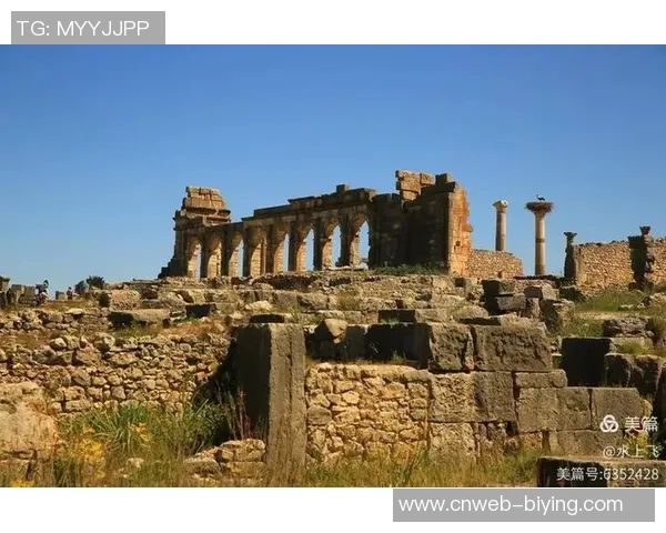 圣本托对决分析及比赛预测揭示球队实力与战术布局